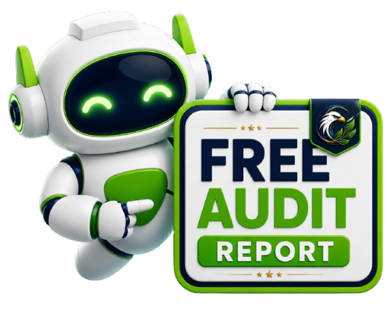 Free Audit