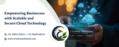 Custom Software Development