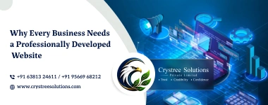 Why Every Business Needs a Professionally Developed Website
